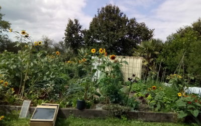 Chez Joseph, un jardin d’Eden