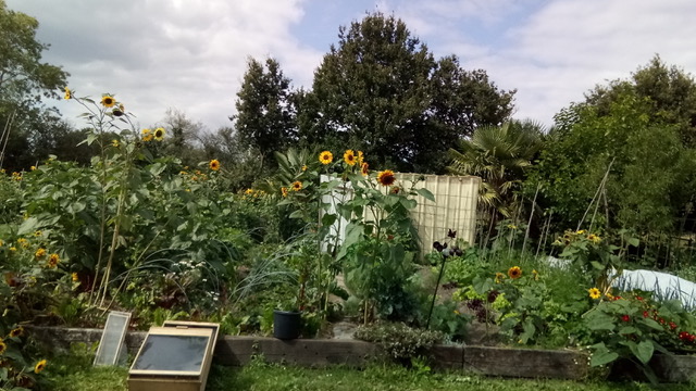 Chez Joseph, un jardin d’Eden